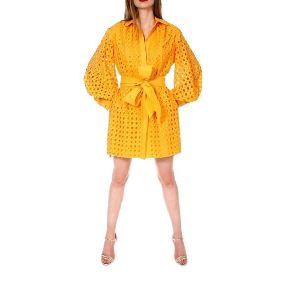 Aggi by Halewski Mona Sunflower Dress M Eyelet Lace Balloon Sleeve Shirt Dress - Picture 14 of 14